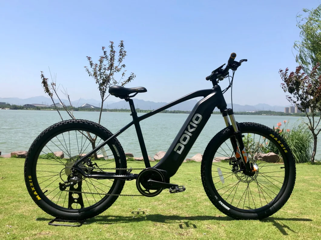 Wholesale Fat Tyre Mountain Electric Bike with Disc Brake