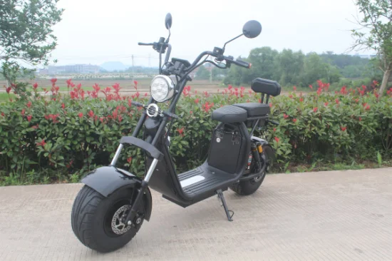 Fat Boy High Speed ​​​​​​Widewheel Fronttasche Moto 1500 Вт 2000 Вт 3000 Вт Electrica Elektro-Motorrad Roller Citycoco