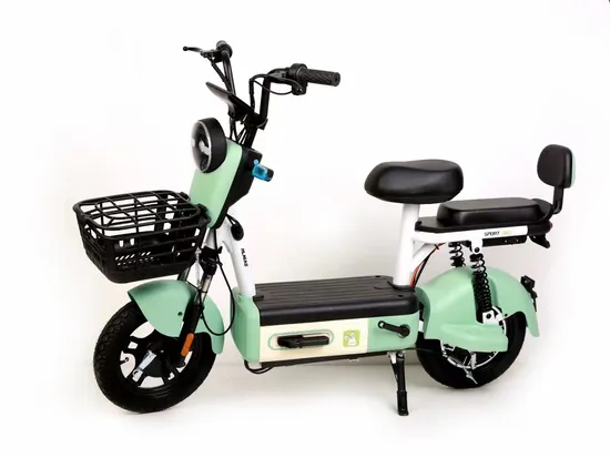 48V 15ah 800W 10,5-дюймовый портативный электрический самокат для взрослых